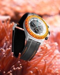 DiW (Designa Individual Watches) Cosmograph Daytona Ocellaris.