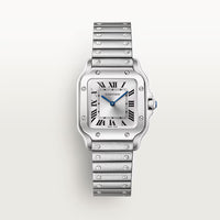 Cartier santos Medium wssa0029 (Pre-owned) 2023 full set