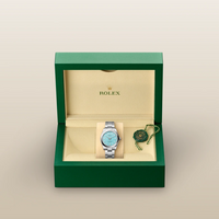 Oyster Perpetual 31